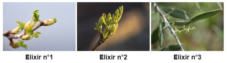 Cadeau élixirs